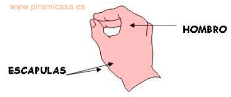 Zonas de la mano (cara externa) para presionar con la varilla en el dolor de hombro