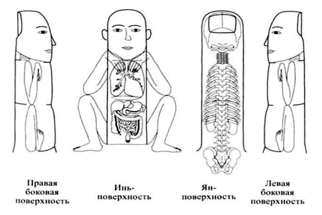 Reflexología en los dedos