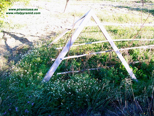 Gran crecimiento de la vegetación con pirámides
