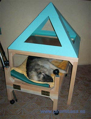 Pirámide Hygia con perro en camilla curándose de un envenenamiento