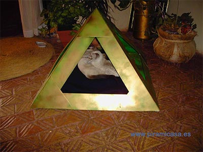 Piramascota interior con gatos